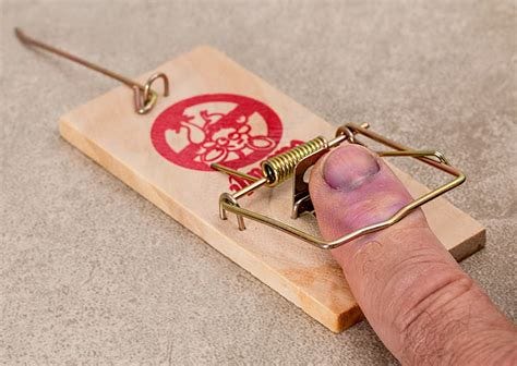 Royalty-Free photo: Person hands on brown wooden mouse trap | PickPik