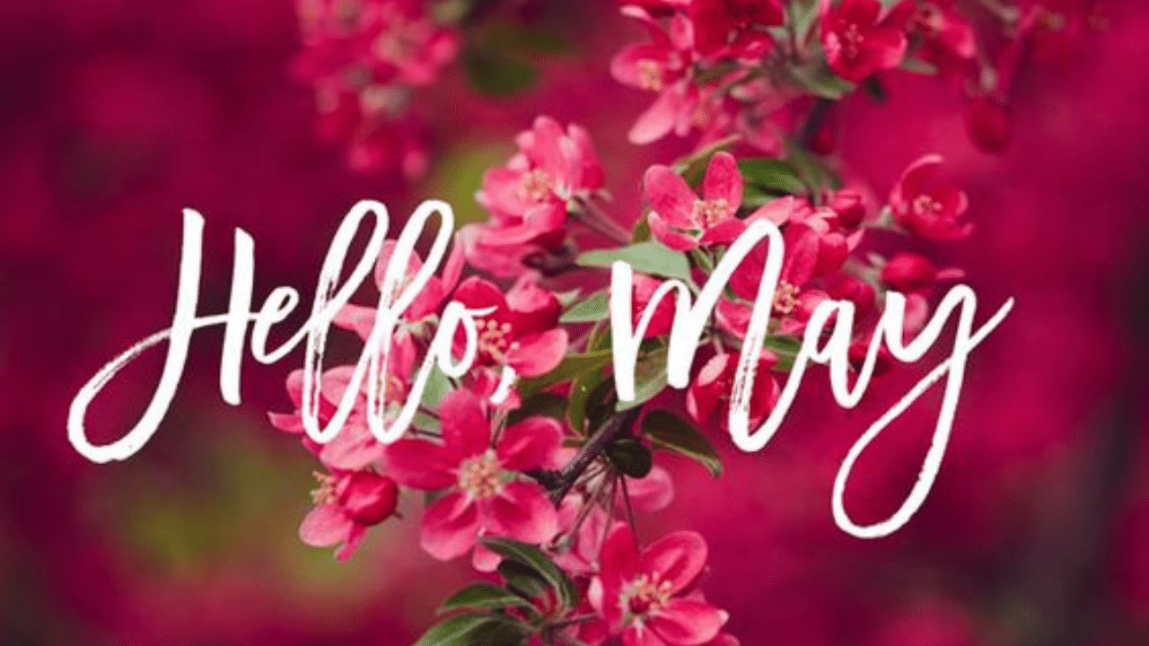 May month quotes: Quotes on May | May motivational quotes | Hello May ...