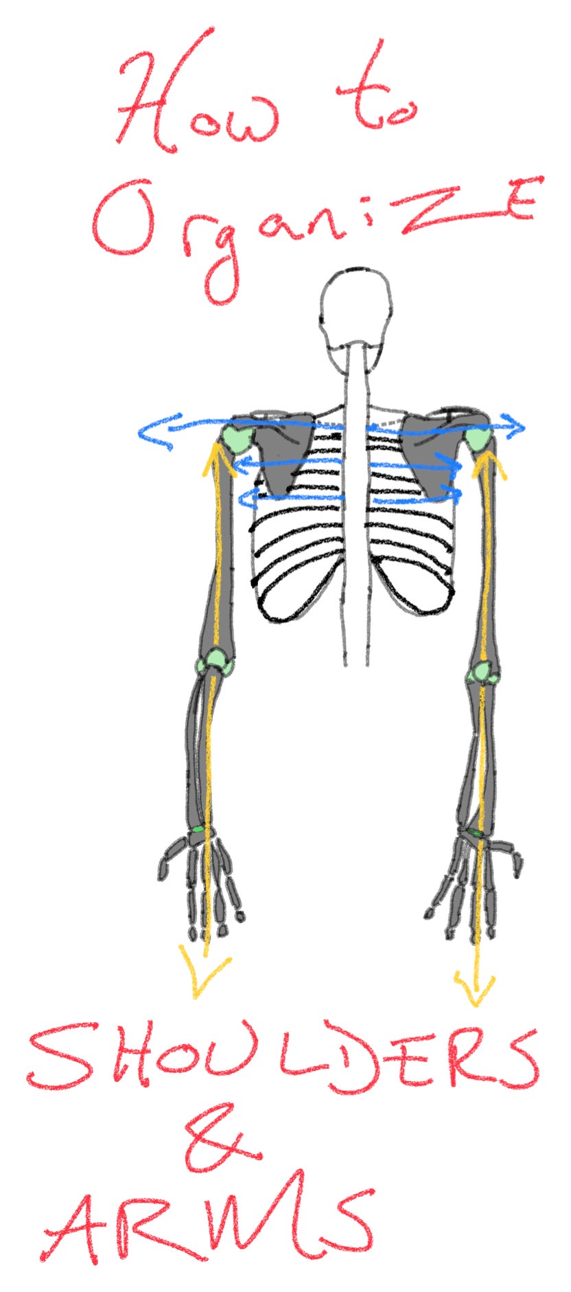 Image of Shoulder Apart and Pull at the Elbow.