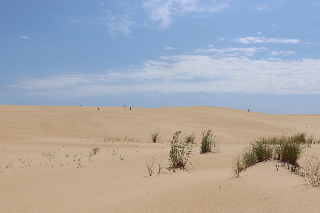 the dunes at Jockey's Ridge