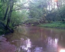 Whitmire, SC : Duncan Creek, Whitmire ...