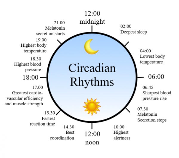 What is circadian rhythm and How it influences your sleep - MOONA