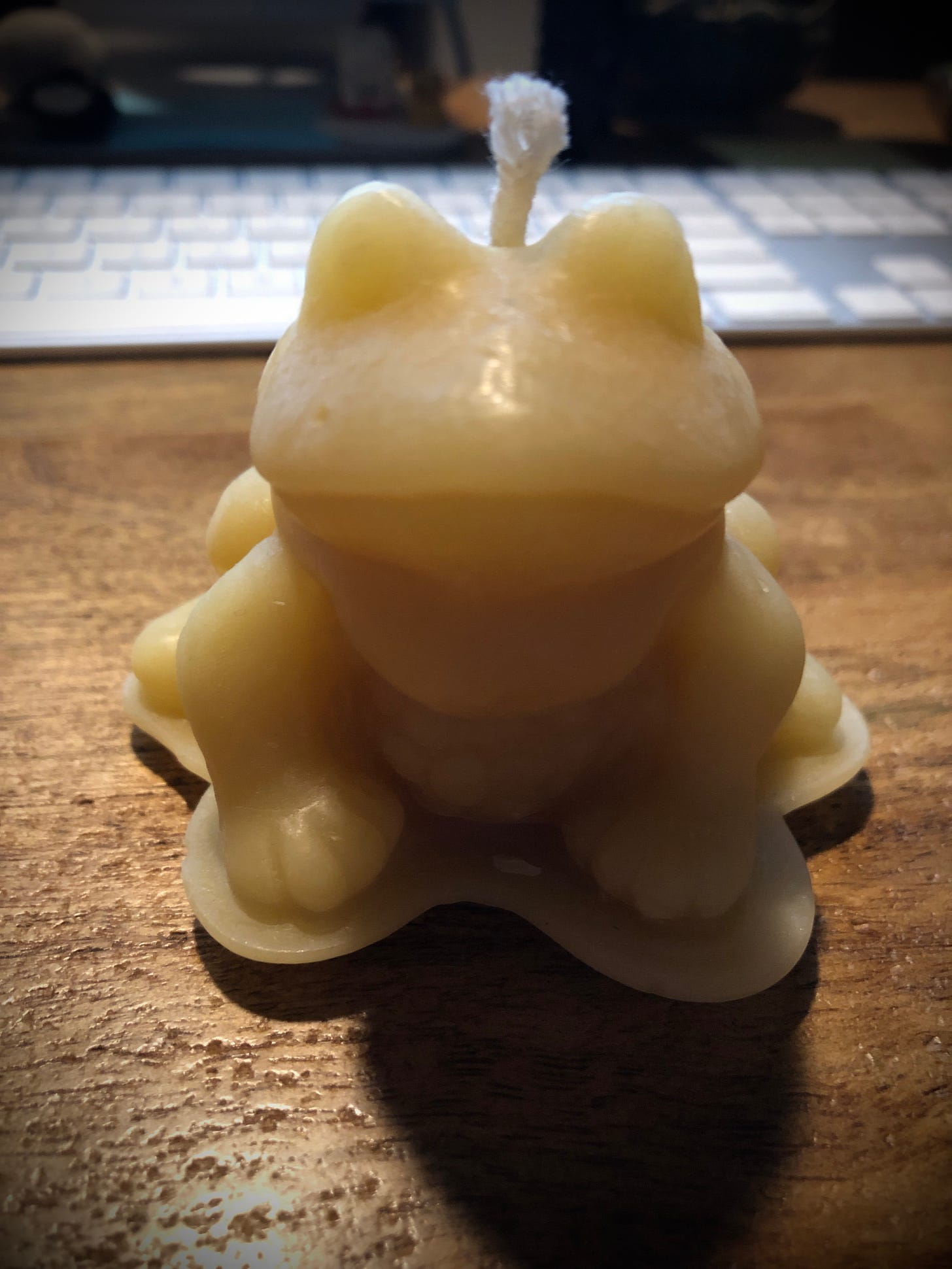 An almost yellow frog candle, almost smiling.
