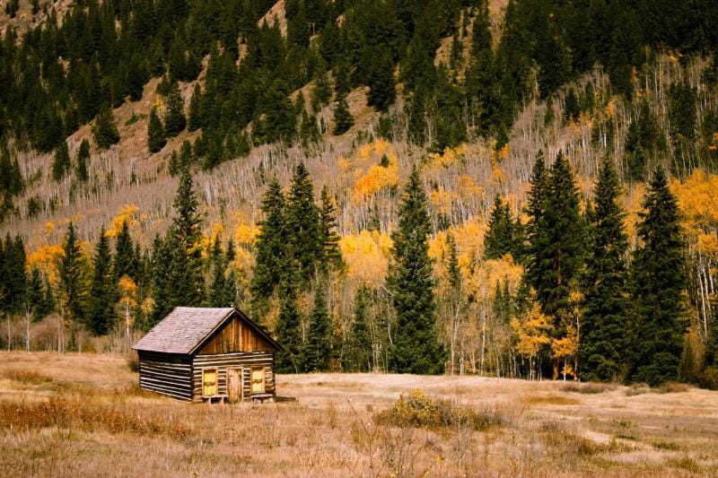 Living in a Cabin: What you Need to Know