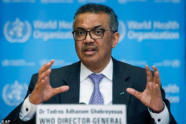 American economist David Steinman accused Tedros (pictured) of being one of three officials who directed Ethiopia's security forces from 2013 to 2015