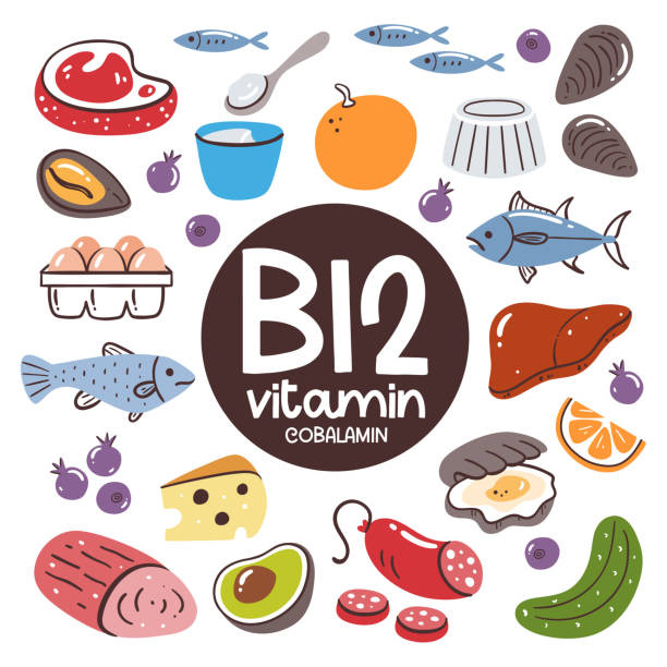 Vitamin B12 Food Ingredients Cobalamin Stock Illustration - Download Image  Now - Cucumber, Food, Vitamin B-12 - iStock
