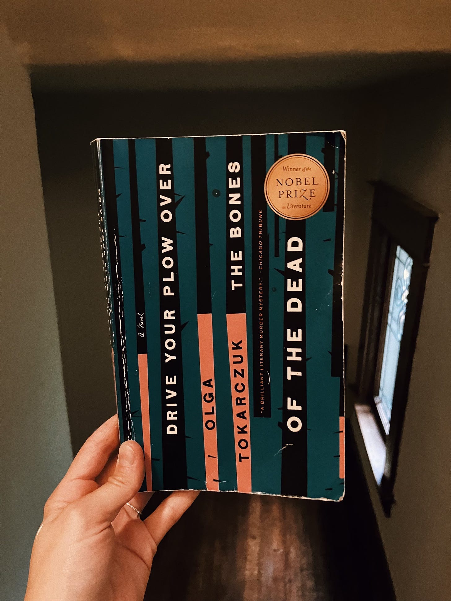 A hand holds a raggedy copy of Olga Tokarczuk's "Drive Your Plow Over the Bones of the Dead" - its cover is dark blue with tree-trunk-like vertical strips of black and pink running across it.