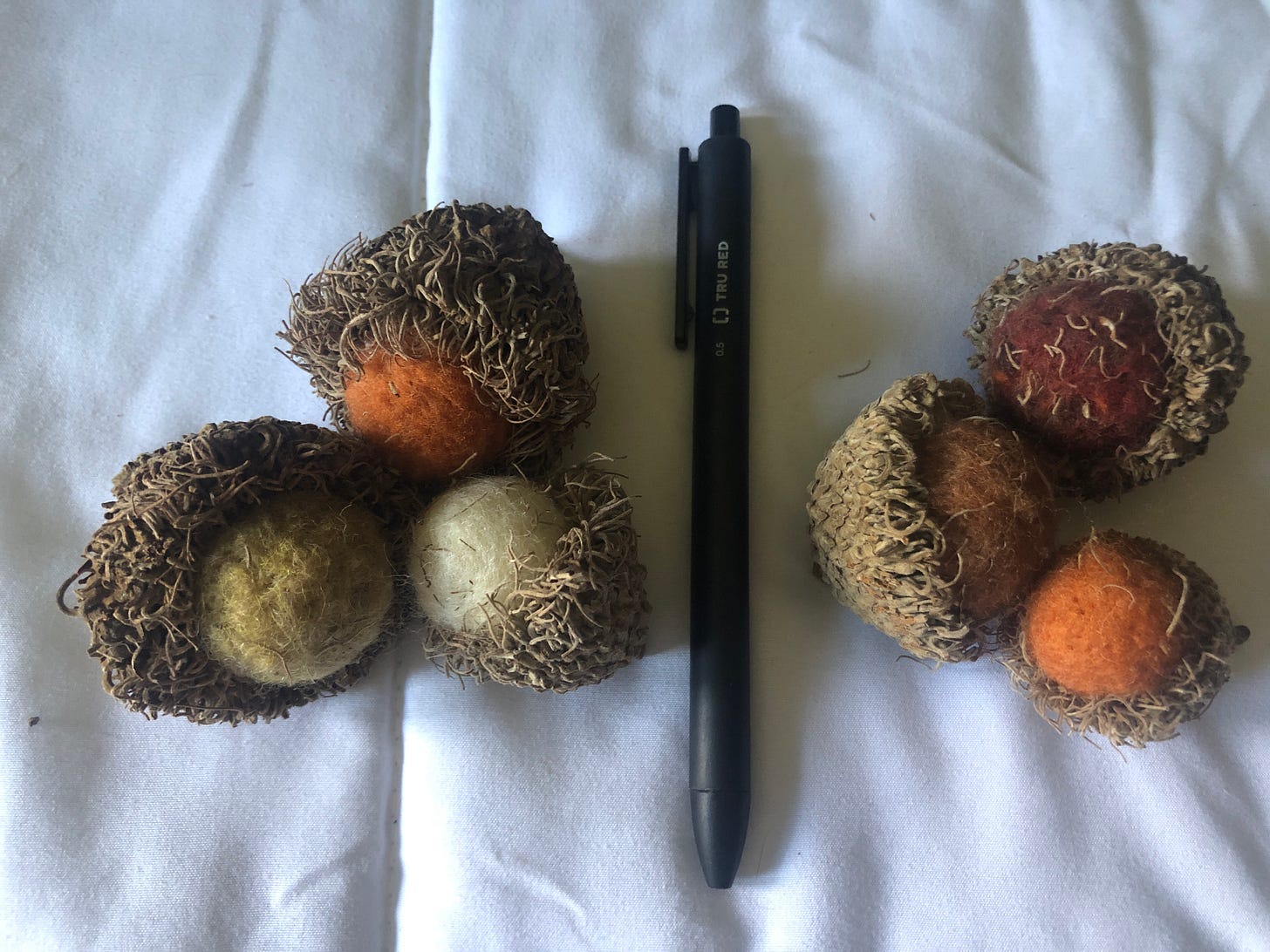 felted bur oak acorns