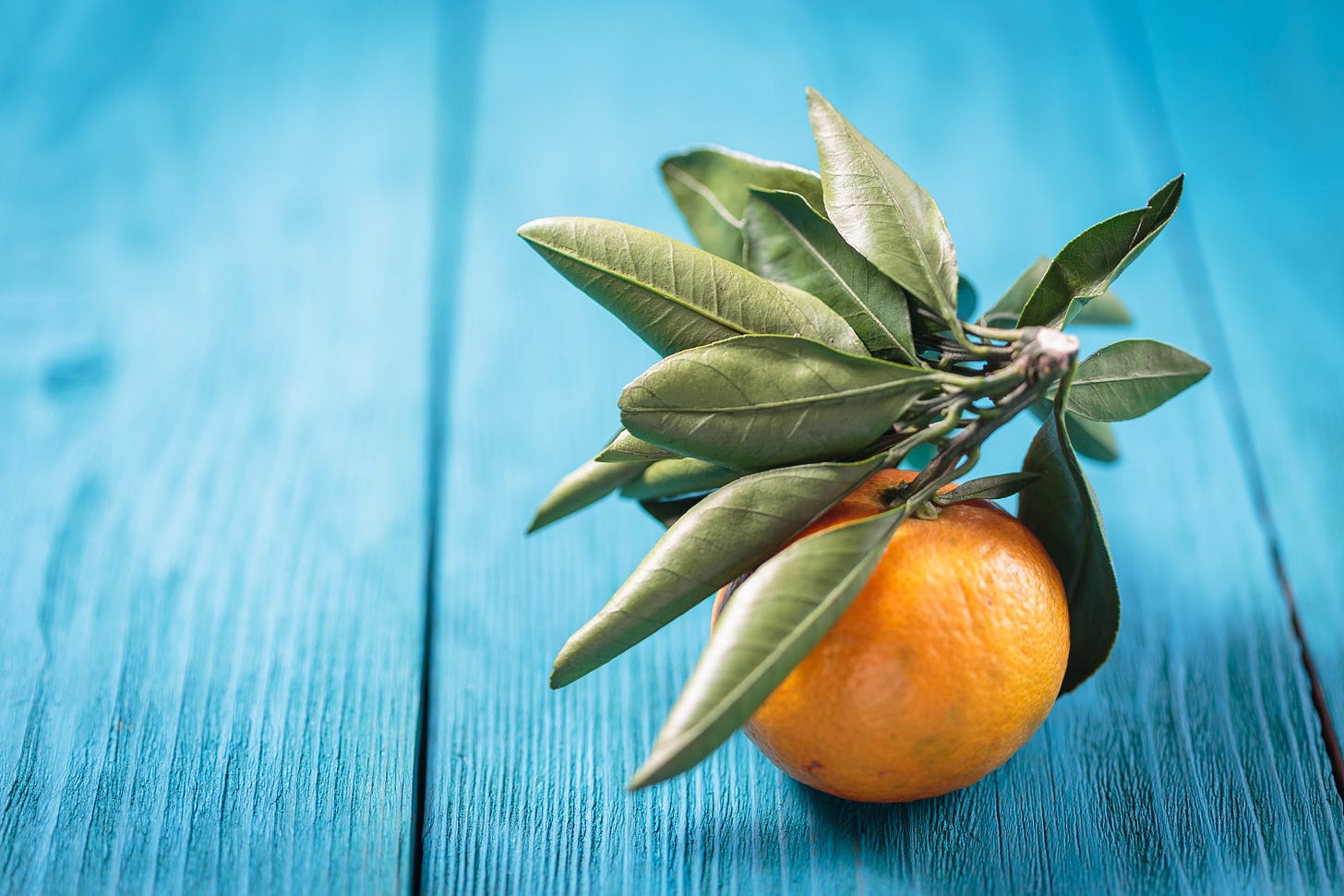 Close-up of an orange with green leaves, on a blue wooden table.