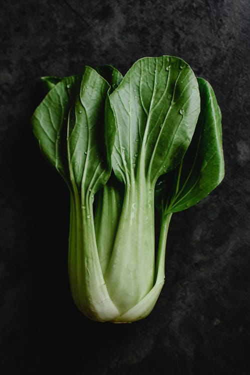 Free Fresh Green Bok Choy with Water Droplets Stock Photo