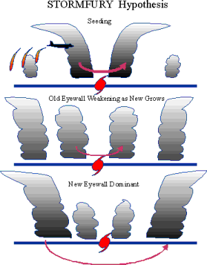 The working hypothesis of Project Stormfury