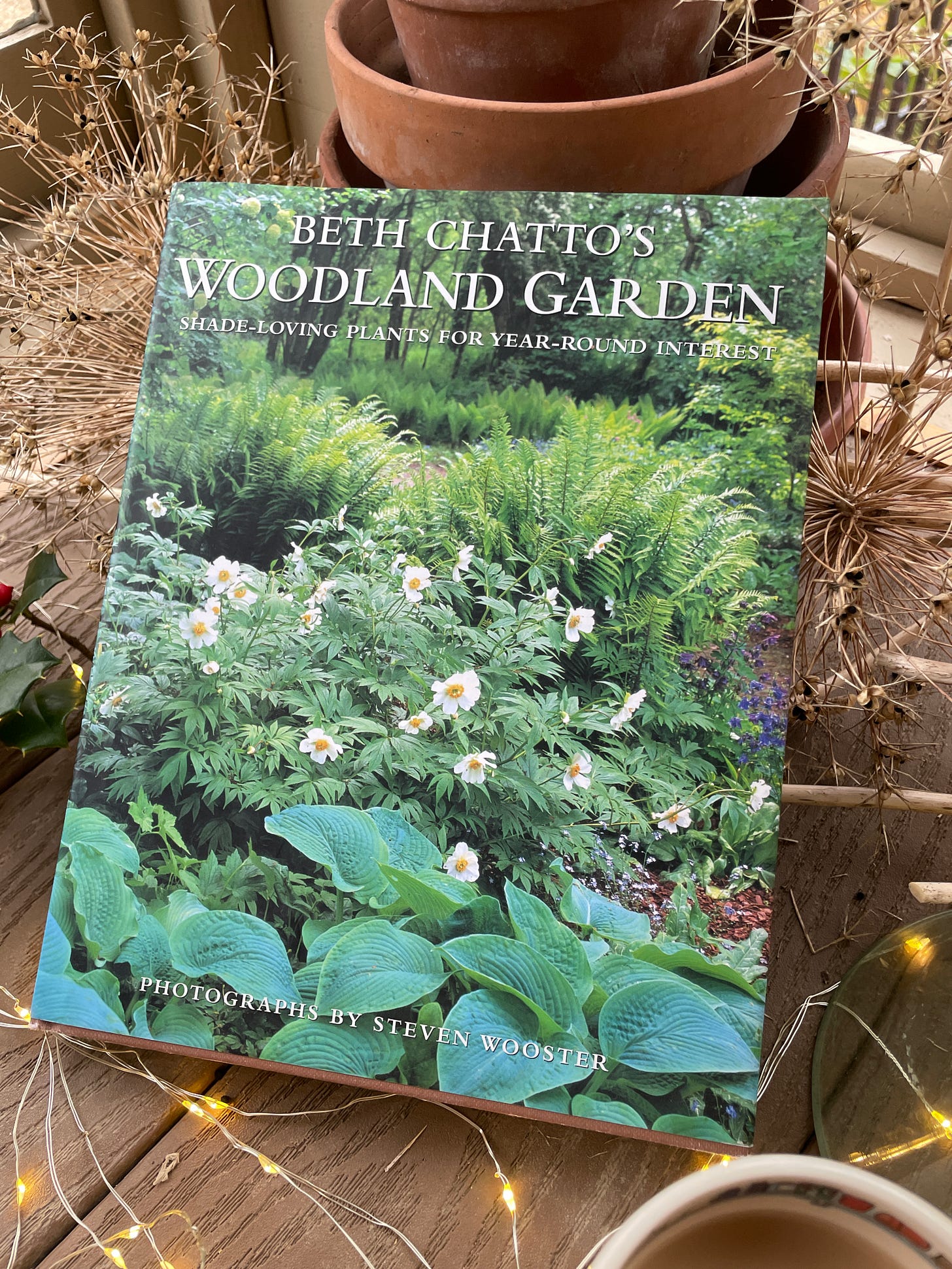 Beth Chatto's Woodland Garden: Shade-Loving Plants for Year-Round Interest 