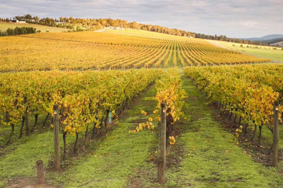 Yarra Valley vineyards