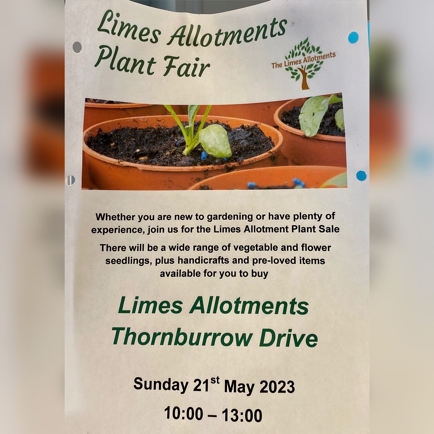 Limes Allotments Plant Fair