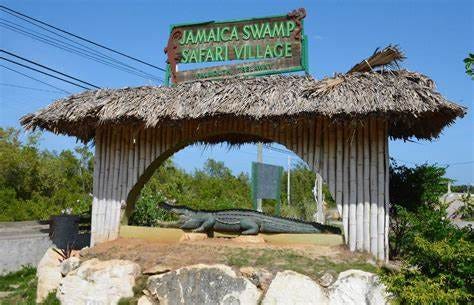 swamp village-Falmouth, Jamaica