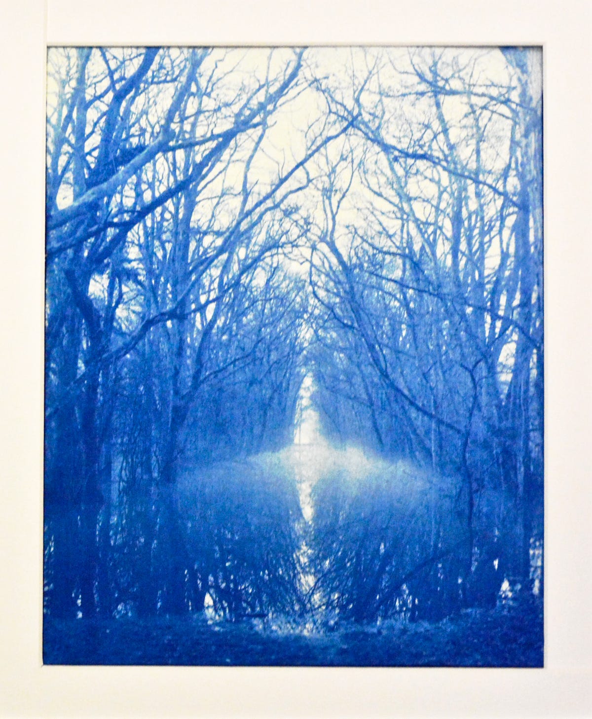 A cyanotype print of a flooded path with trees either side.