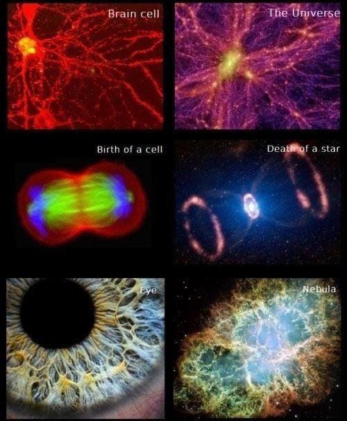 Humans and the Universe. : r/interestingasfuck