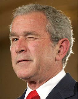 Funny George Bush ~ Bnn Mustache