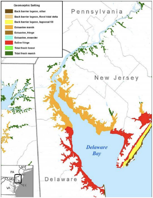 A map of wetland types in southern New Jersey, Delaware, and Pennsylvania