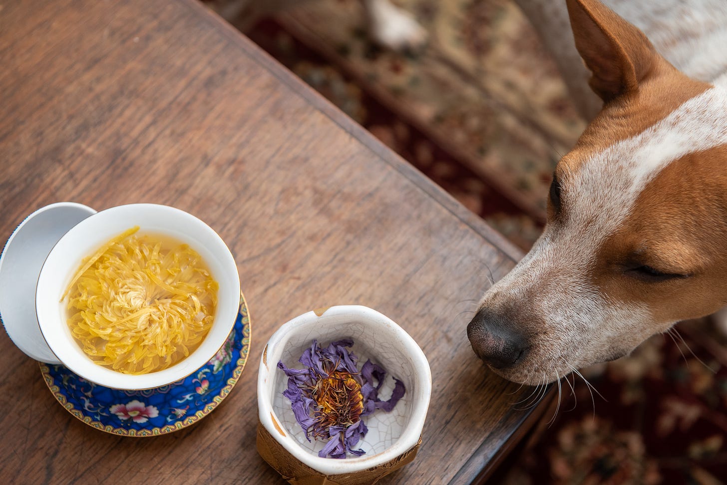 ID: Shameless puppy promotion with flower teas