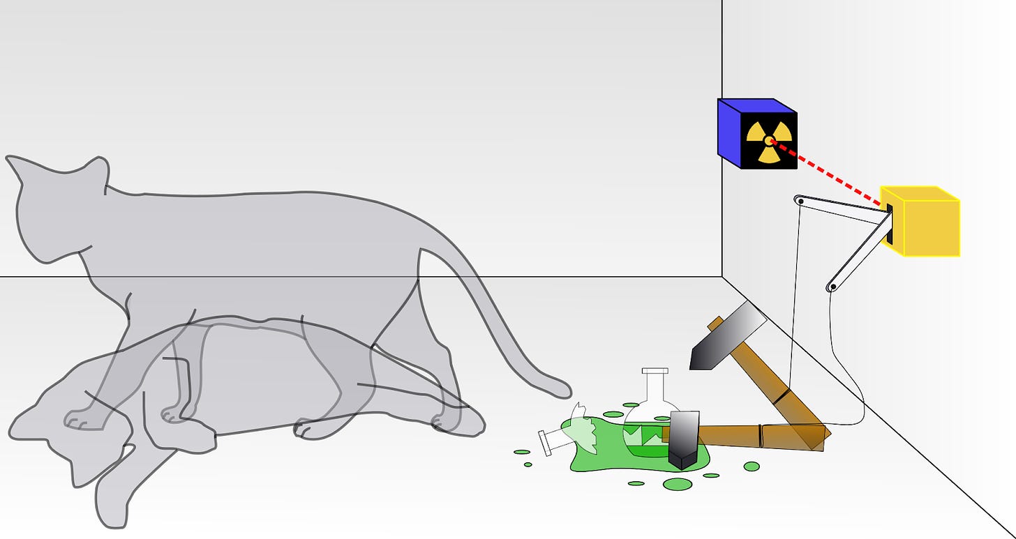 A diagram depicting the famous Schrödinger’s cat thought experiment.