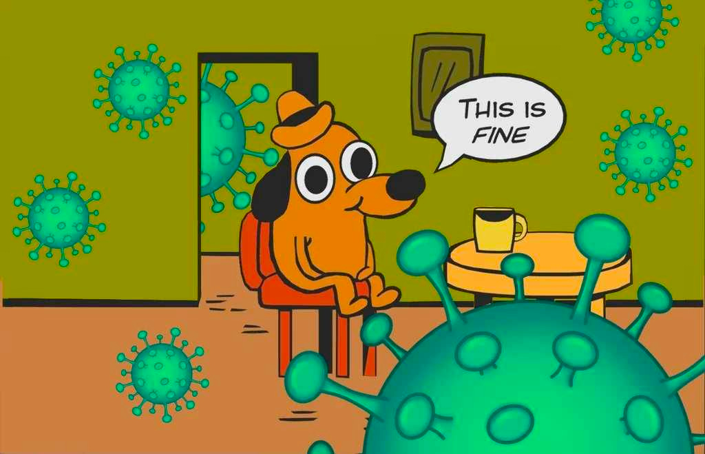 This is not fine dog in a room surrounded by coronavirus balls. The dog’s speech bubble says this is fine and the dog looks a bit stunned.