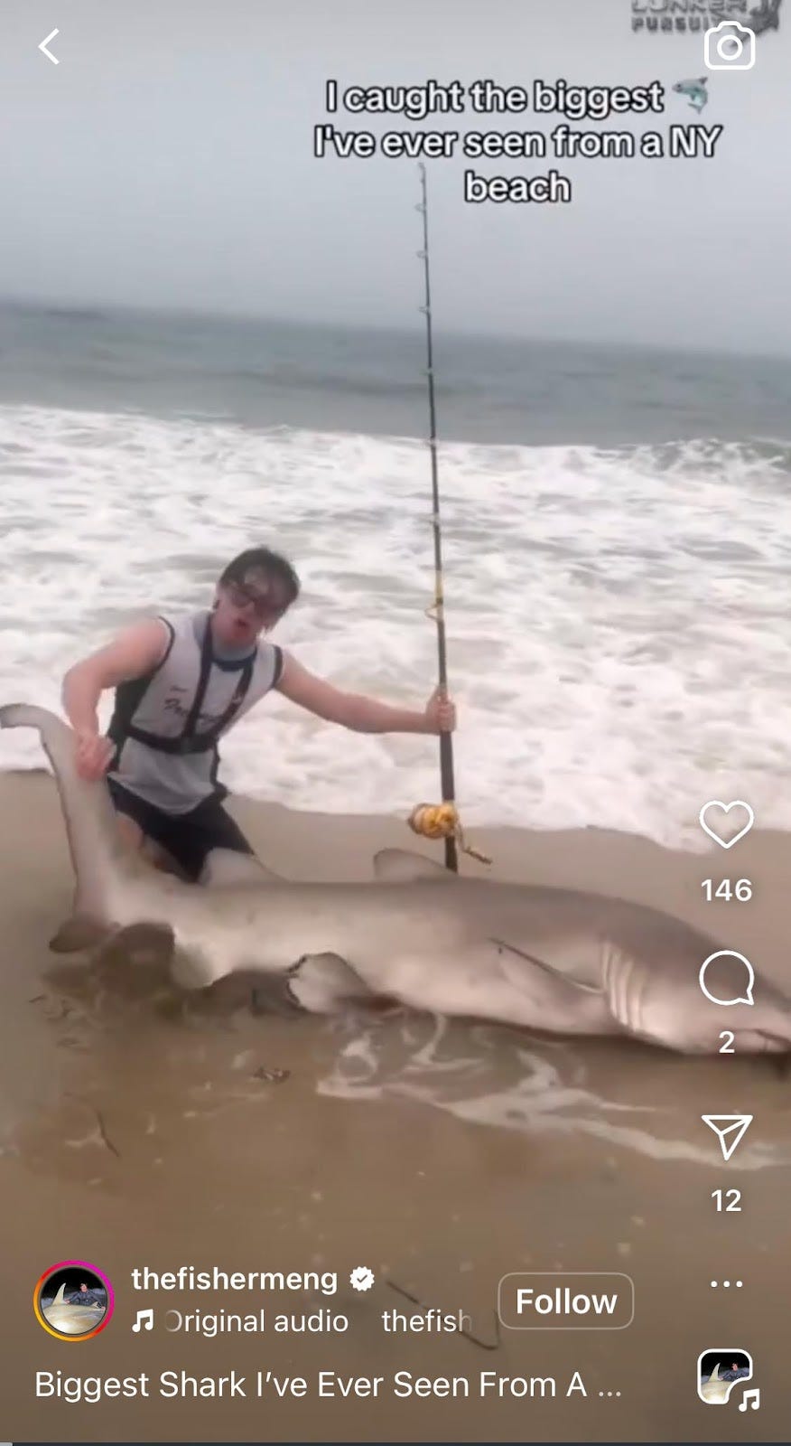 A person holding a fishing pole next to a shark

Description automatically generated