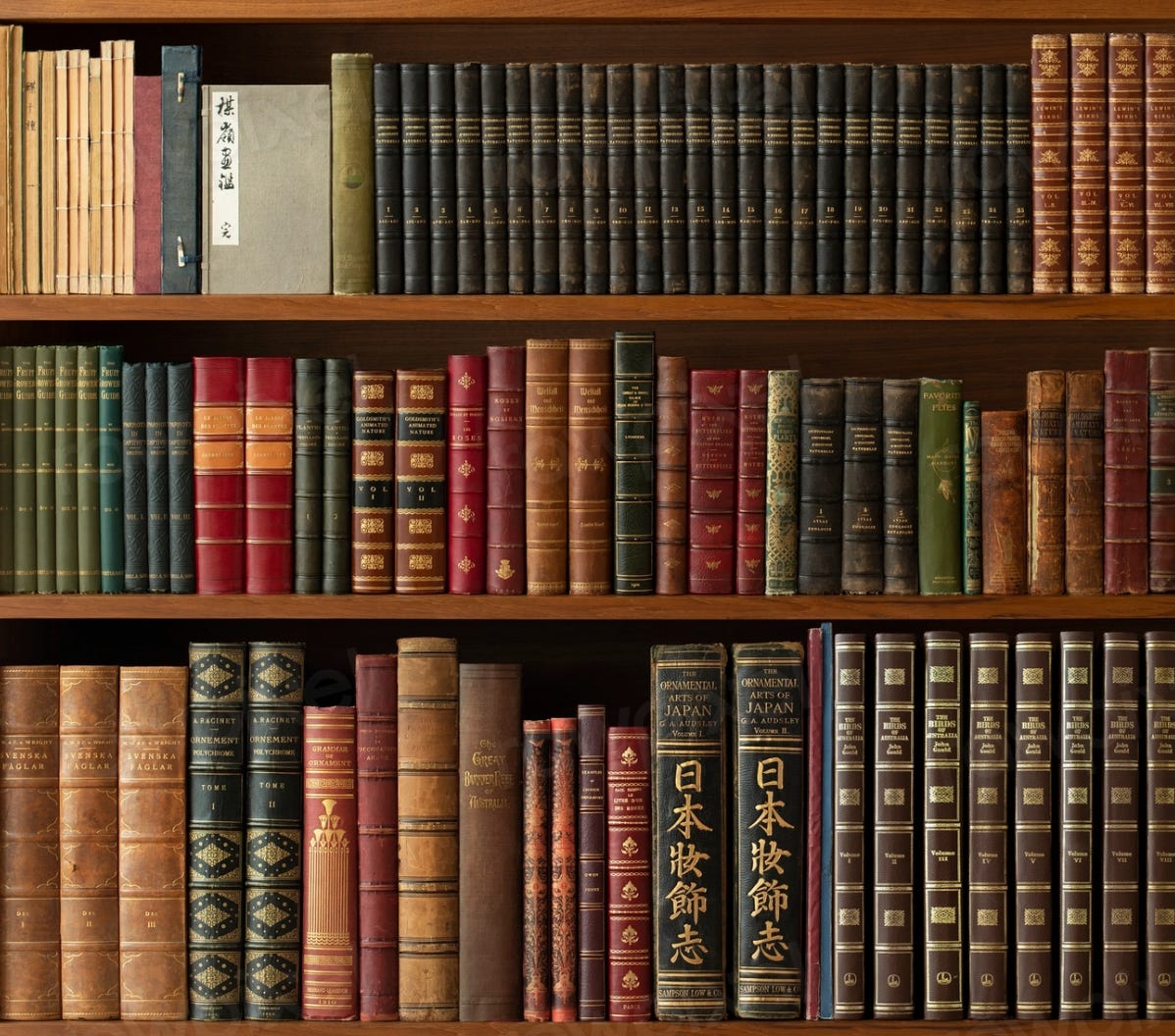 A shelf full of books

Description automatically generated