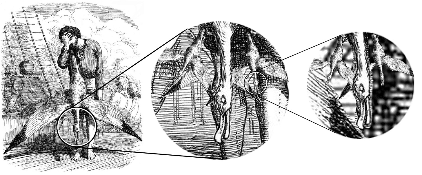 a zoom-in illustration of fractal albatrosses