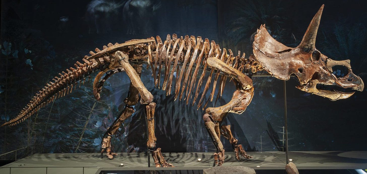 Naturalis reconstructs dinosaur skeletons - Builder 3D Printers