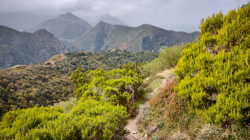 Sendero hacia Pajares