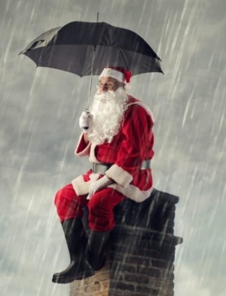 May be an image of 1 person, umbrella, tree and text