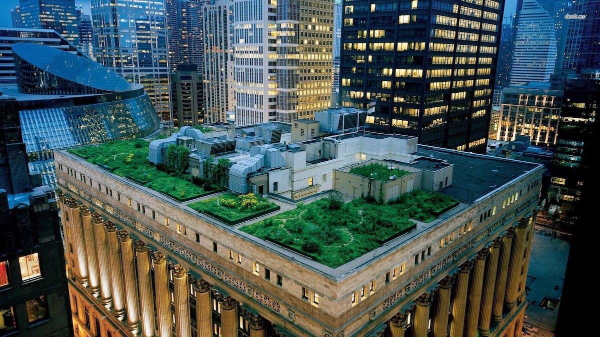Rooftop Gardens Can Help Alleviate Heat in Cities, Study ...