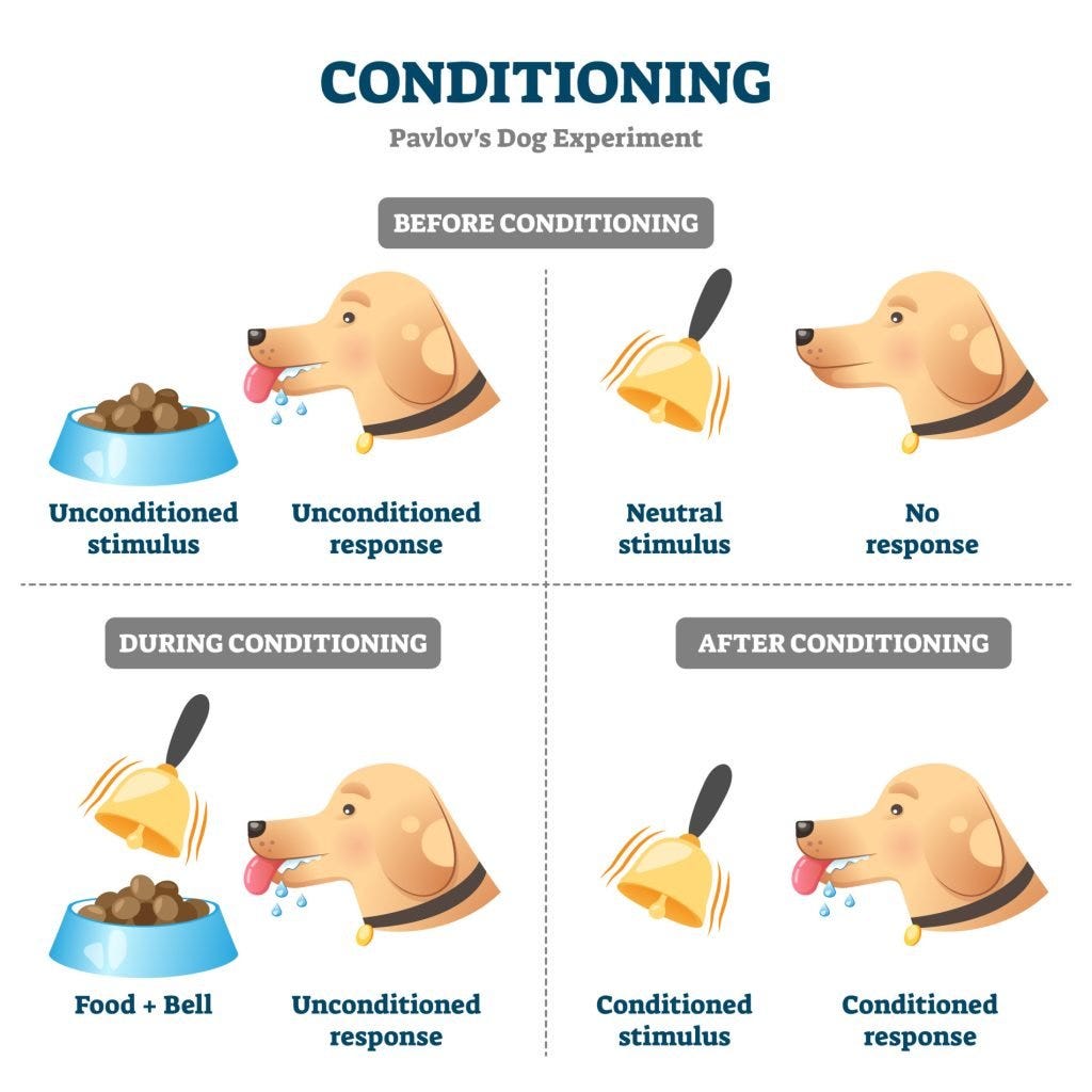 Pavlov's Dogs Experiment & Pavlovian Conditioning Response