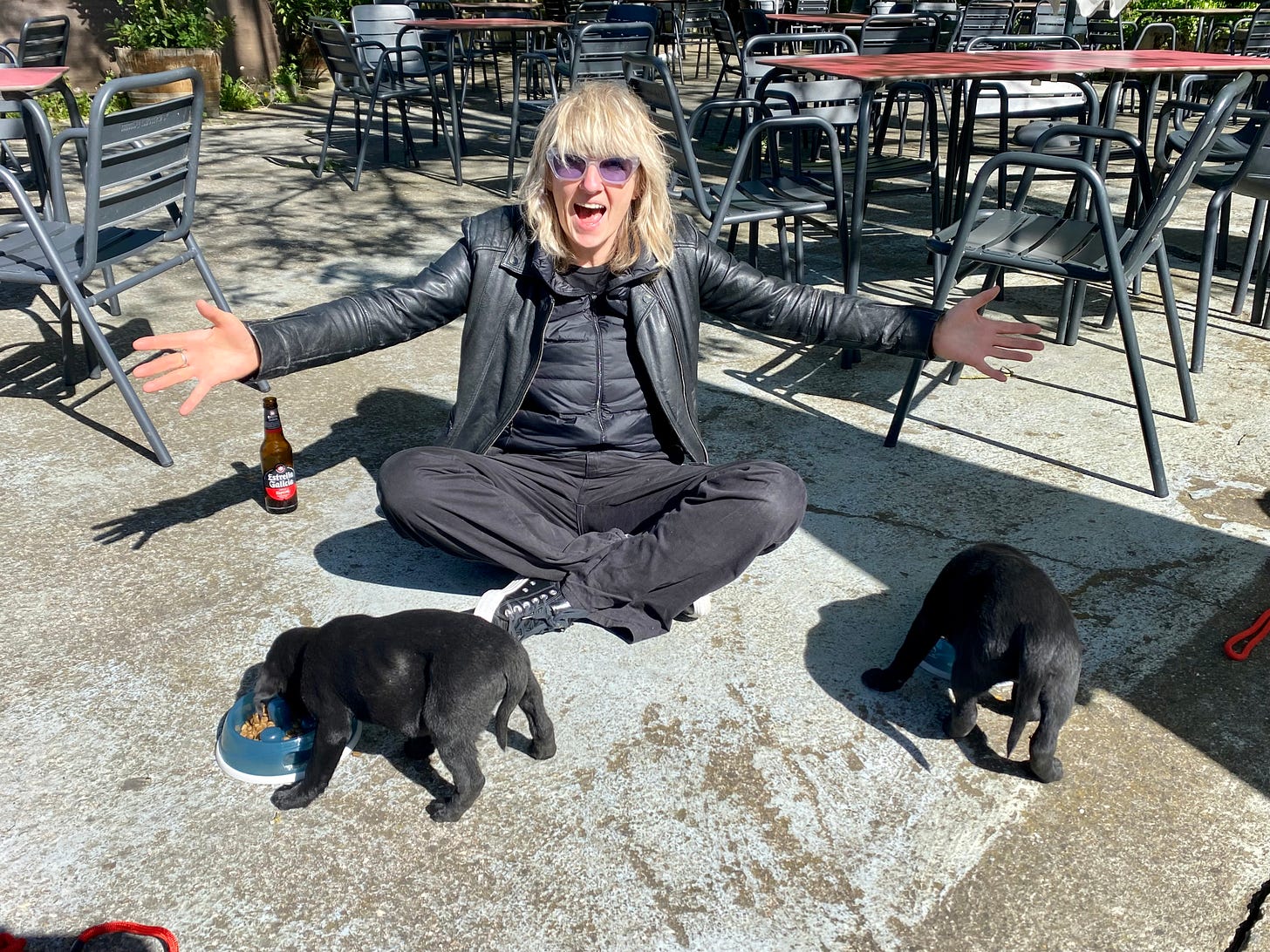 A woman with two black labrador puppies