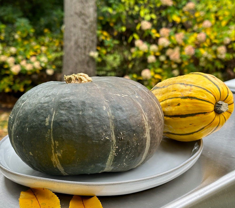 Hubbard and Delicata Squash: A fruit so packed with nutrients (and natural anti-diabetic properties) that its become known as a vegetable