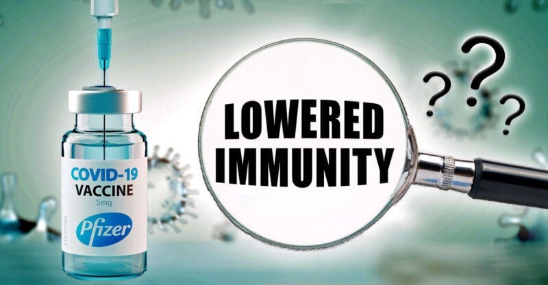 pfizer covid vaccine children immunity feature