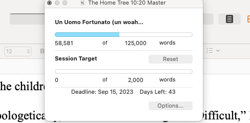 A screen shot of the word count of authors current novel