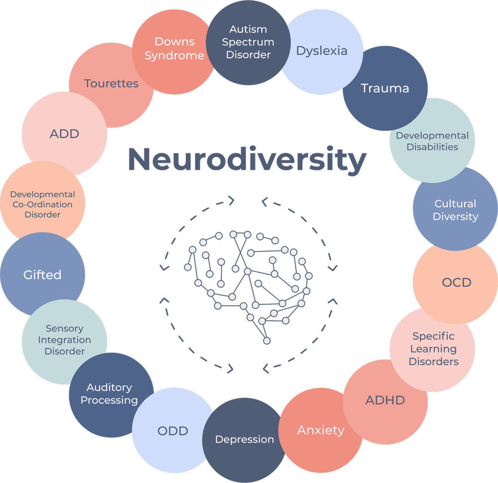 A graphic lists all the different types of neurodiversity: autism, dyslexia, trauma, developmental disabilities, cultural diversity, ocd, specific learning disorders, adhd, anxiety, depression, odd, auditory processing, sensory integration disorder, gifted, developmental coorination disorder, add, tourettes, downs syndrome