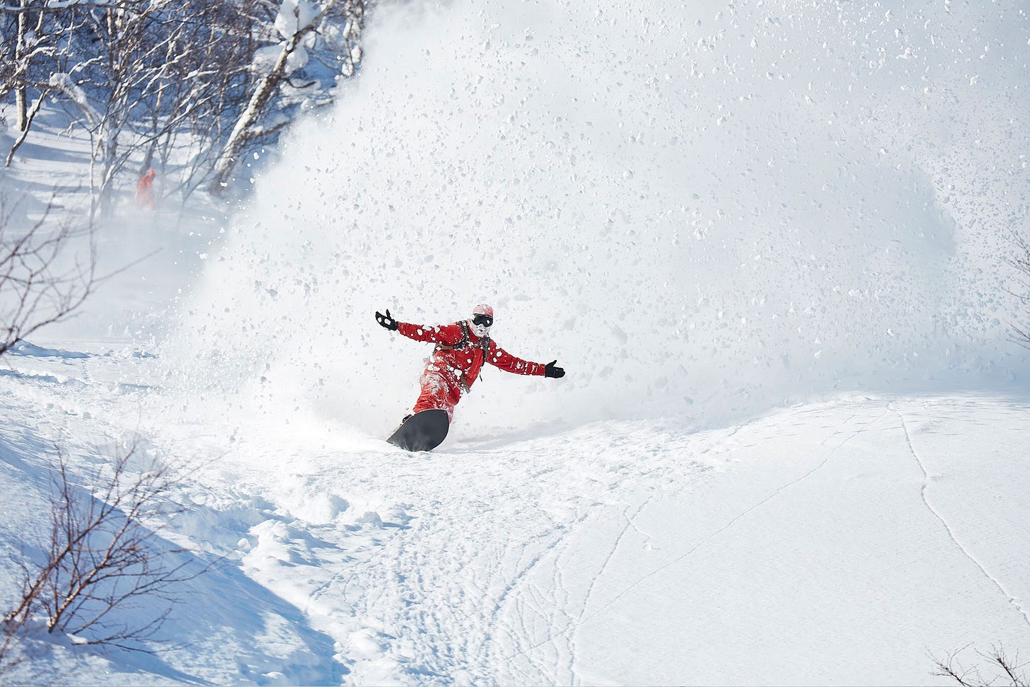 Stealth Backcountry