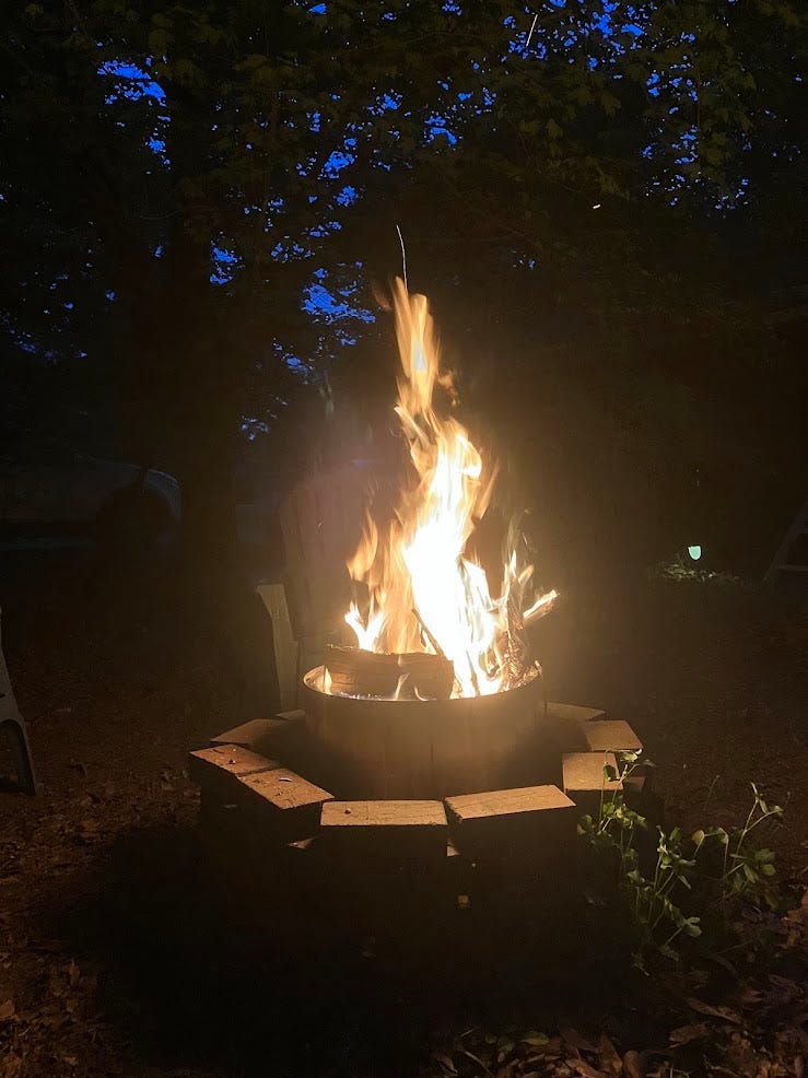 Bonfire in a solo stove in a brick fire pit, trees and bits of blue evening sky, giant clover in the foreground