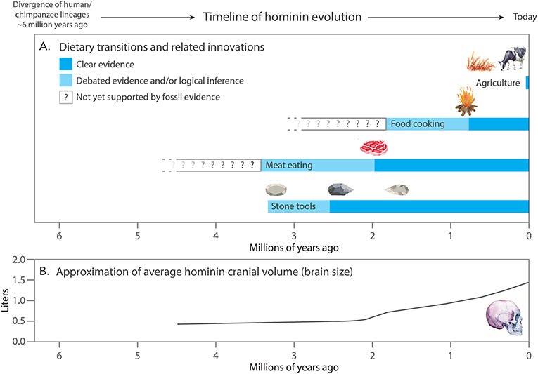 Figure 1 - (A) Dietary transitions over the course of hominin evolution.