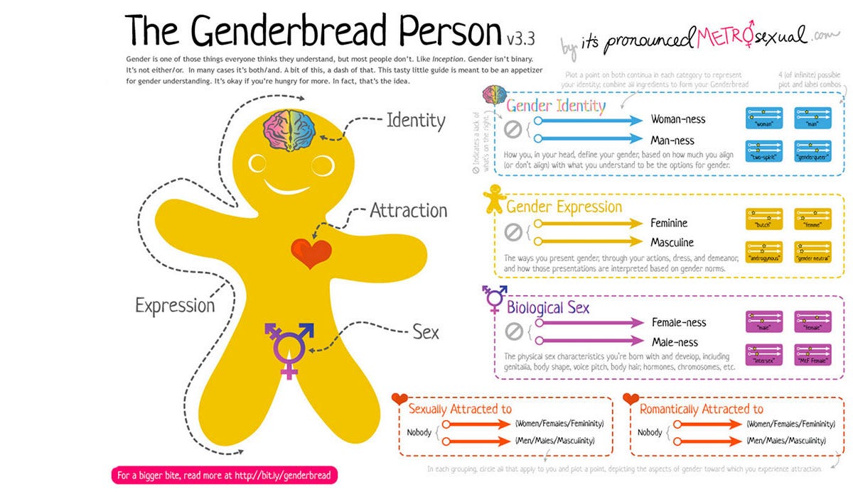 The Genderbread Person 3.0 - Public Health Post