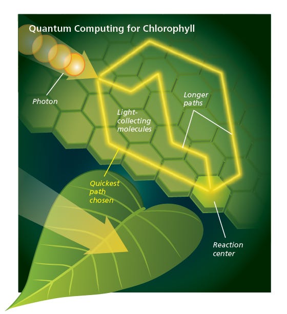 Solving Biology's Mysteries Using Quantum Mechanics | Discover Magazine