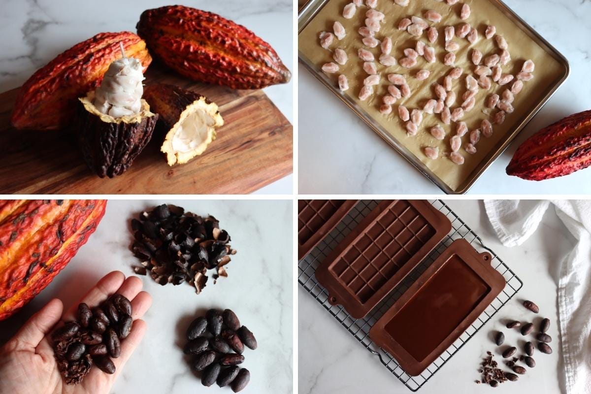 How to Make Chocolate from Scratch