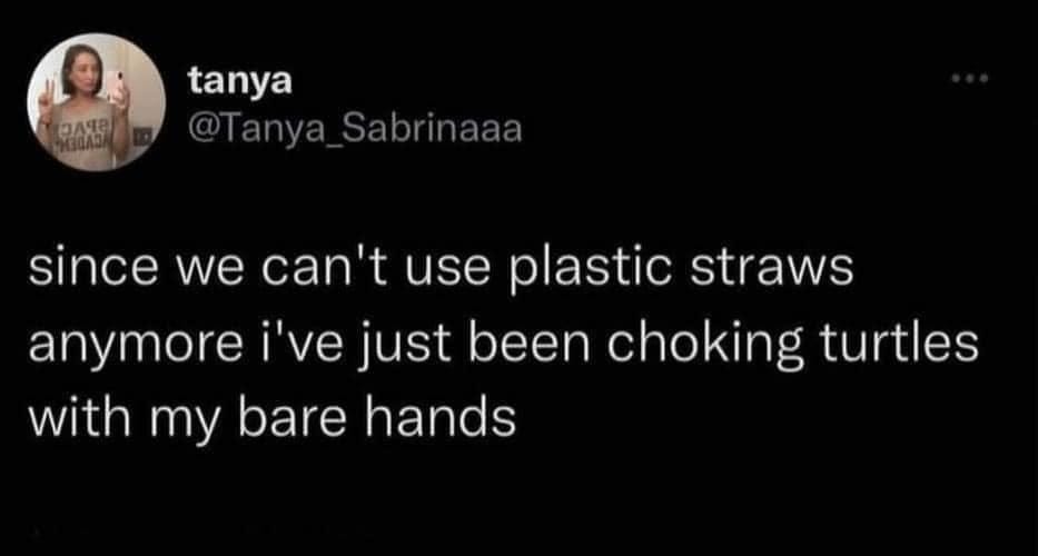 May be an image of 1 person, turtle and text that says 'tanya lanya_ Sabrinaaa since we can't use plastic straws anymore i've just been choking turtles with my bare hands'