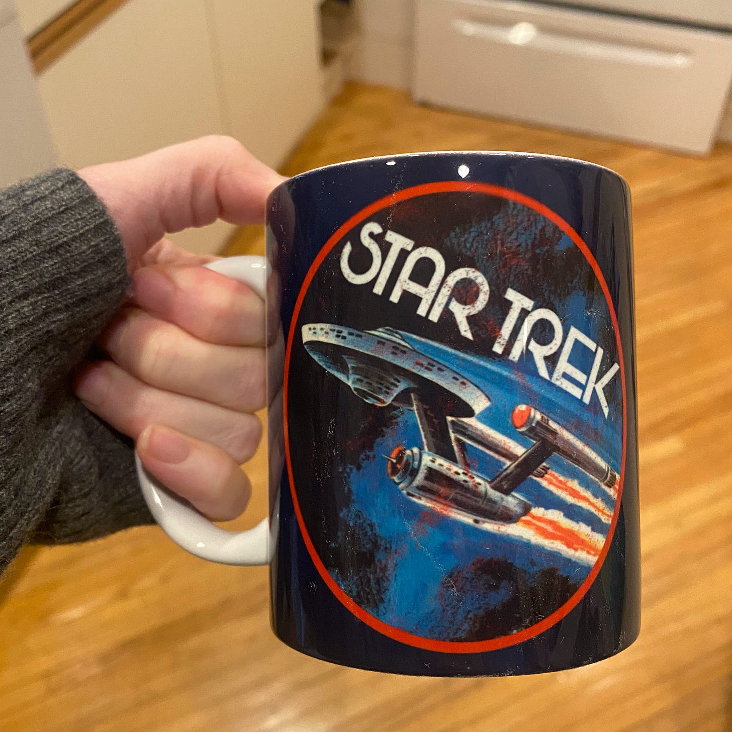 My hand, partially covered by a grey sweater, holding a blue mug with retro art of the Enterprise on it, and the Star Trek logo inside a red oval.