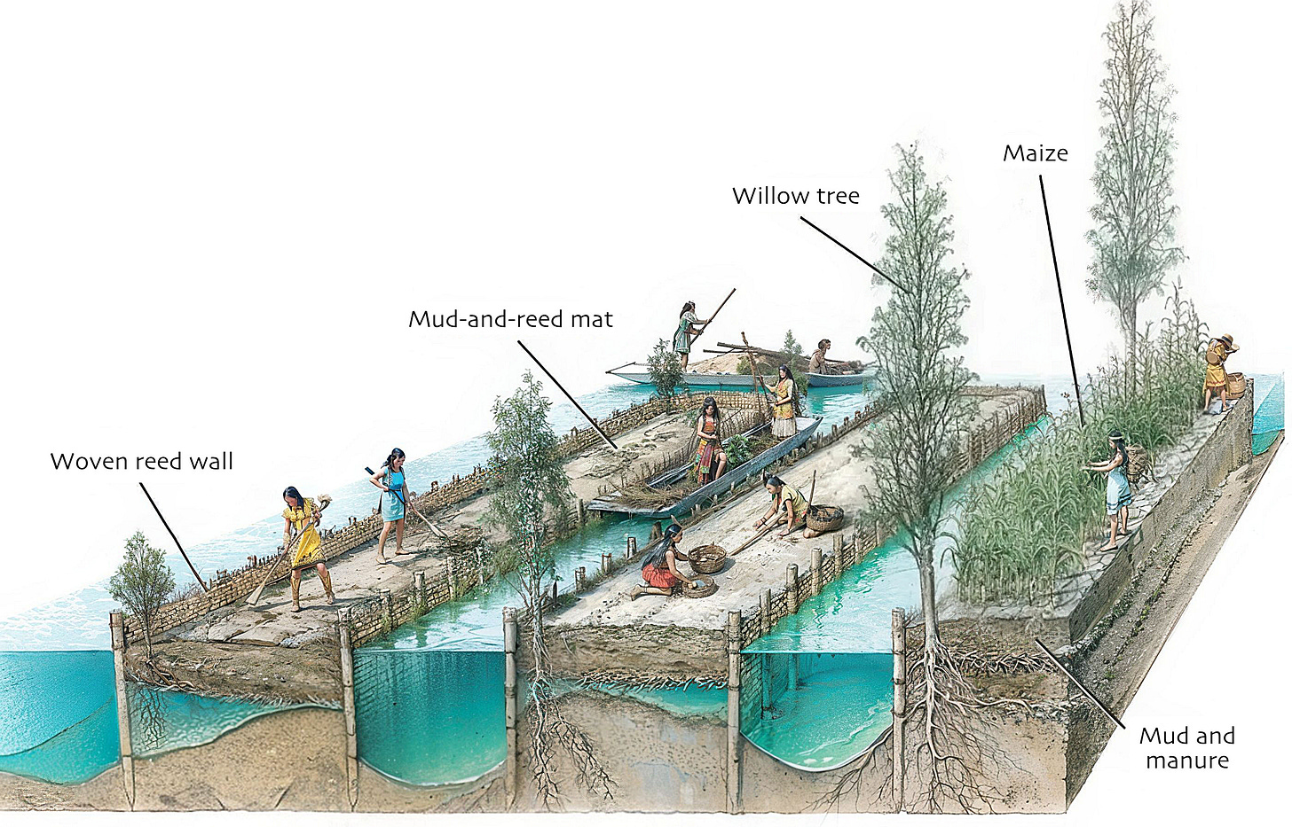 "Floating islands" or Chinampas used for agriculture by the Aztecs.