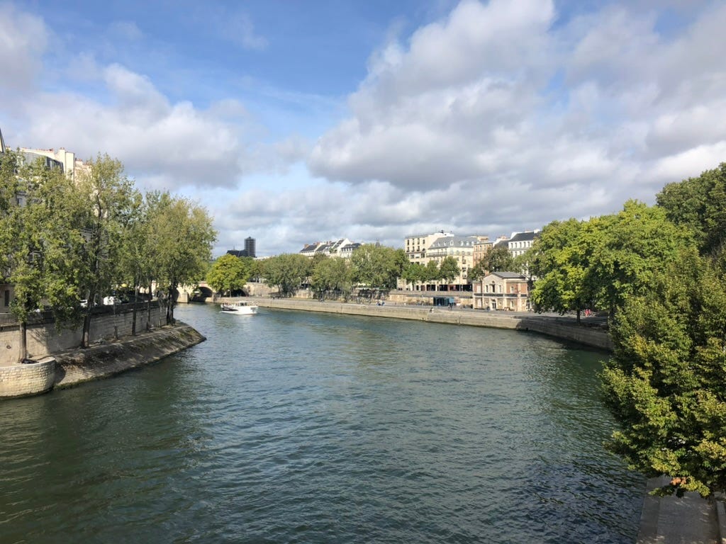 This is a photo of 2019 of the Seine River in Paris. I can’t remember the pont or bridge we were on. 
