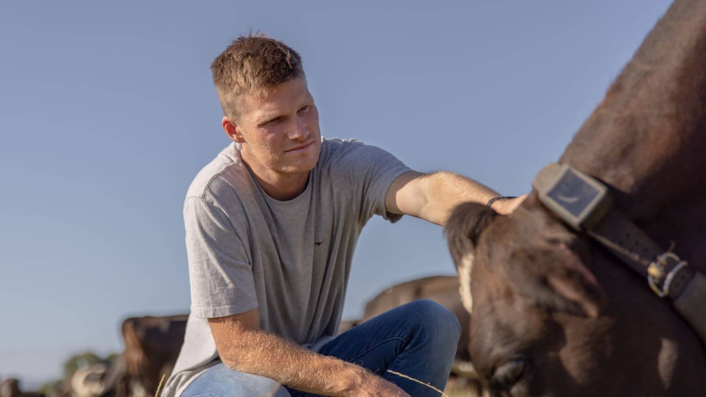 Halter founder Craig Piggott with a cow wearing one of his firm's smart collars. Piggott was named the Tech and Emerging Industries Entrepreneur winner.